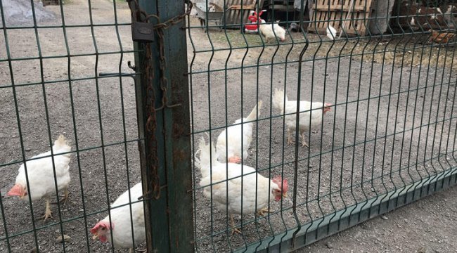 Korkutan olay! Önce kendisi sonra da annesi öldü...