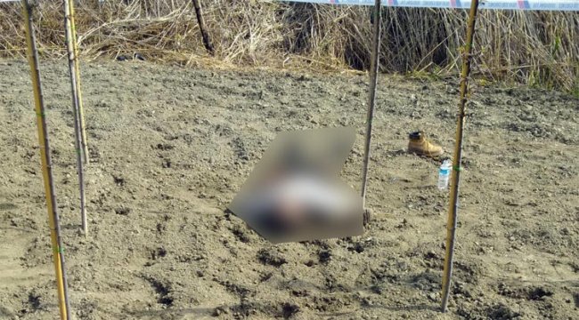 Şeftali bahçesinde korkunç olay! Yakalandılar…