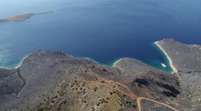 Datça'daki yangın 12 saat sürmüştü! Bu sabah görüntülendi... İşte son hali