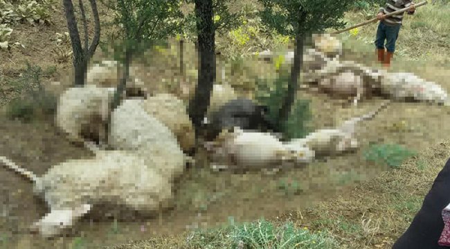 Denizli'de üzücü olay