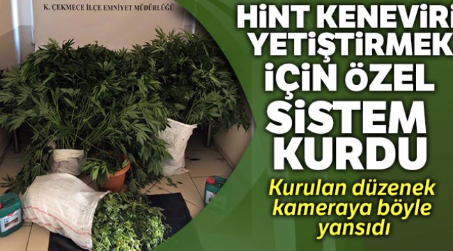 Hint keneviri yetiştirmek için oto yıkamacıya özel sistem kurdu