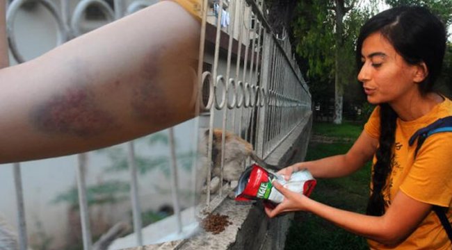 Sokakta kedileri besleyen kadına şok saldırı...
