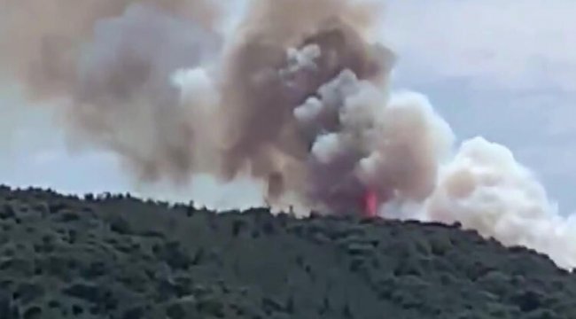 Son dakika: Heybeliada'da orman yangını