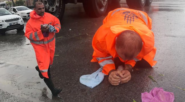 Yavru kediyi böyle hayata döndürdü