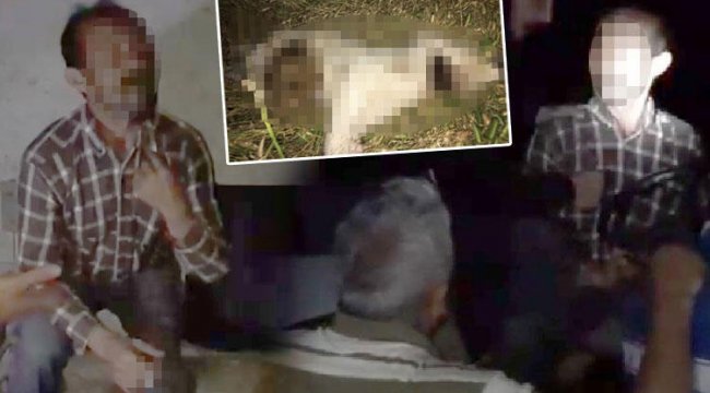 Yavru köpeği işkence yaparak öldürdü sözleri çileden çıkarttı!