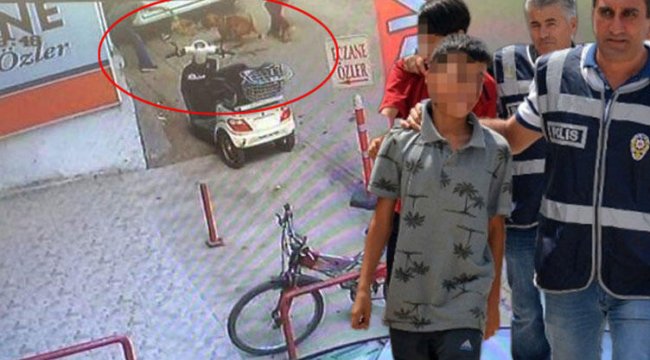Hamile kediyi pitbulla atıp parçalatmışlardı! O çocukların cezası belli oldu…