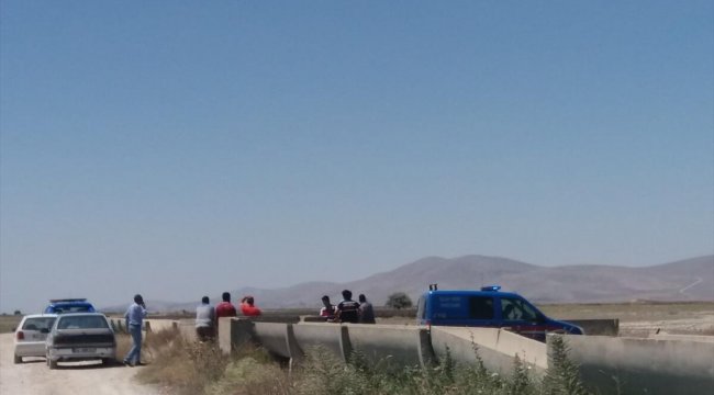 Konya'da tarlada korkunç cinayet! Sırtına çekiçle vurdular...