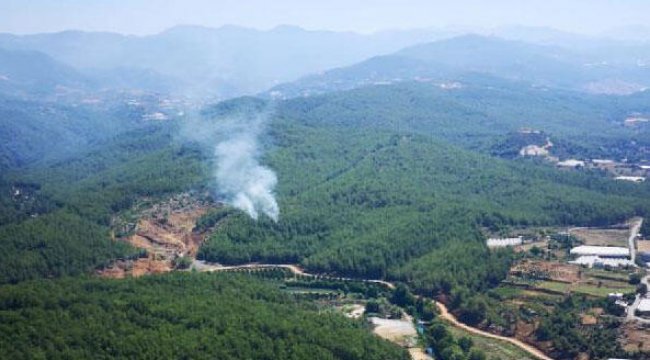 Son dakika... Alanya'da orman yangını