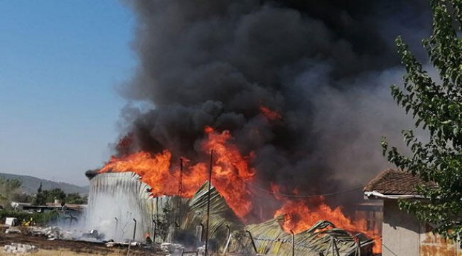 Son dakika... İzmir'de palet fabrikasında büyük yangın