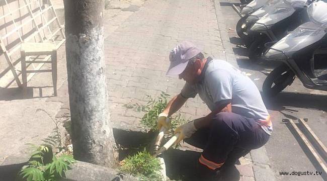 Kartal Belediyesi WhatsApp İhbar Hattı yoğun ilgi görüyor
