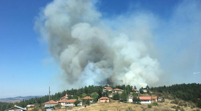 Ankara'da 10 hektar orman yandı
