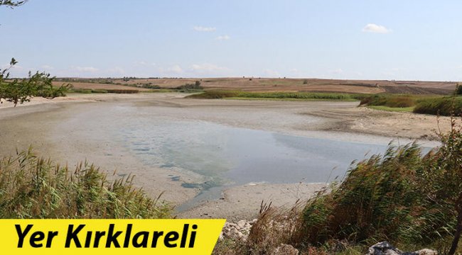 Çaresizce bekliyorlar... Binlercesi ölmek üzere