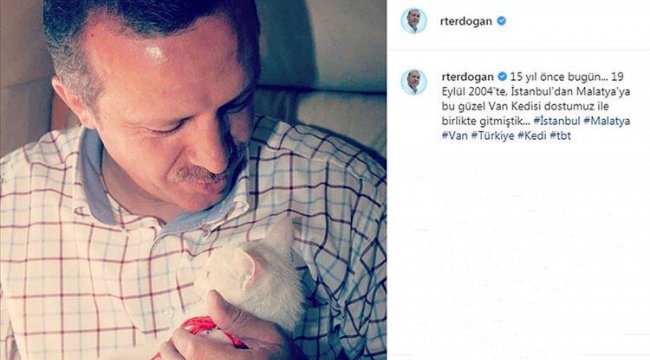 Cumhurbaşkanı Erdoğan'dan Van kedili 'tbt' paylaşımı