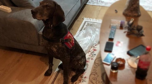 Evdeki uyuşturucuları 'Roket' buldu
