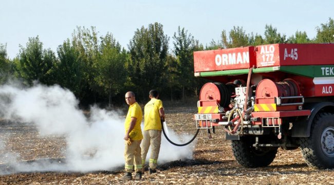 Malkara'da çıkan orman yangınında 800 ağaç zarar gördü
