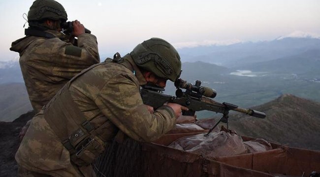 Siirt kırsalında terör örgütü PKK'ya ağır darbe
