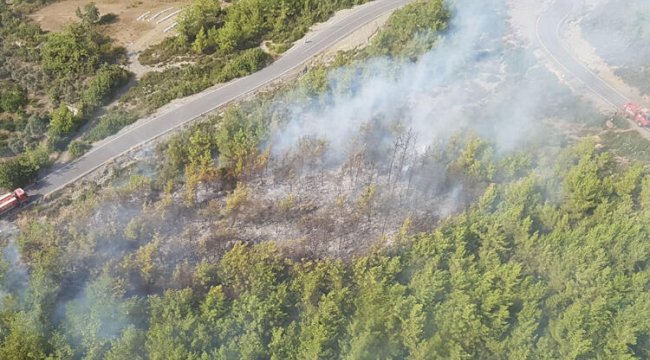 Dörtyol’da orman yangını