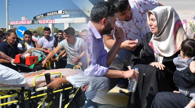 'Karıncayı bile incitmemiştim' dedi... Gözyaşlarına boğuldu