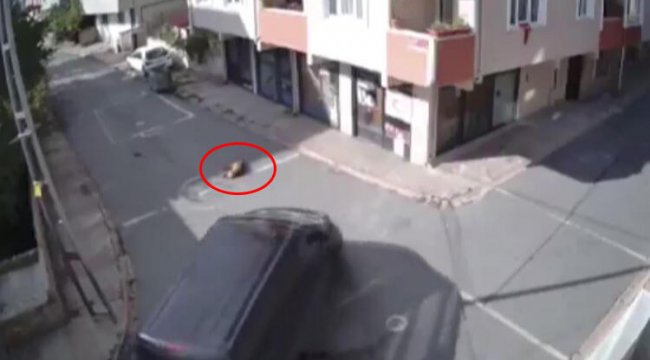 Yer Ümraniye... Görüntüler dehşete düşürdü! Ezip geçti...