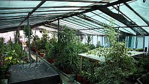 Kartal Belediyesi Serası'nda görülmemiş olay