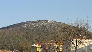 Kayışdağı Ormanında Ağaç Katliamı!