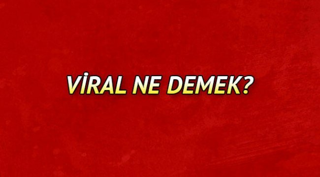 Viral ne demek? Viral nedir? Viral reklam ve pazarlama ile ilgili bilgier