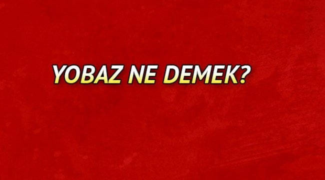 Yobaz ne demek? Yobaz nedir? Yobaz TDK kelime Anlamı