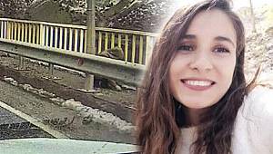 20. gün! Gülistan'ın son görüldüğü yerde 140 kişinin ifadesi alındı