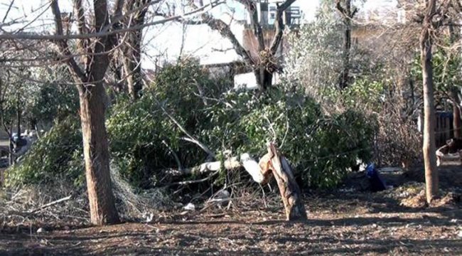Adana’da fırtına, çatıları uçurdu