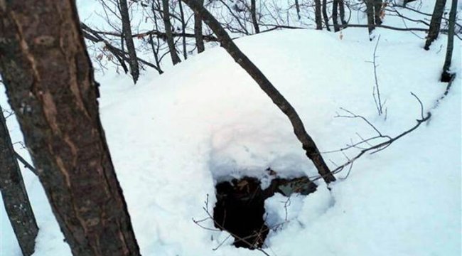 Bitlis'te, PKK'lı teröristlerin kullandığı 8 sığınak bulundu