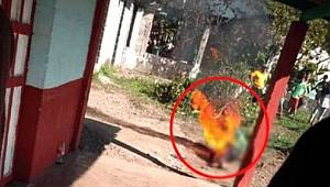Cinsel istismarda bulunduğu kızı öldüren adamı, köylüler benzin dökerek yaktı