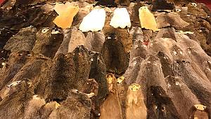 Esenboğa'da ele geçirildi! 800 bin lira değerinde...