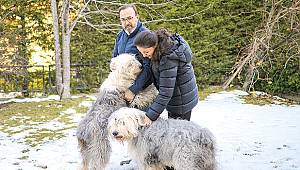 İlk danstan geniş aileye