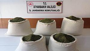 Lice’de, toprağa gömülü 162 kilo esrar ele geçirildi