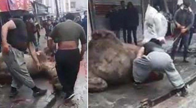 Sokak ortasında dehşet! Etraf kan gölüne döndü