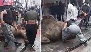 Sokak ortasında dehşet! Etraf kan gölüne döndü