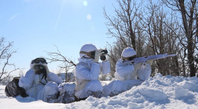 Son dakika haberi: Kapan-5 Gabar Operasyonu başladı
