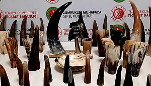 Son dakika haberler: İstanbul Havalimanı'nda bufalo boynuzu operasyonu