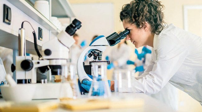 T hücresi kanseri yendi