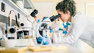 T hücresi kanseri yendi