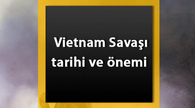 Vietnam Savaşı Tarihi - Vietnam Savaşının nedenleri ve sonuçları