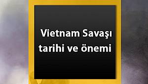 Vietnam Savaşı Tarihi - Vietnam Savaşının nedenleri ve sonuçları
