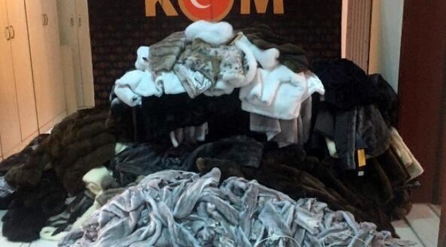 522 vizon postu ve 81 kürk mont ele geçirildi