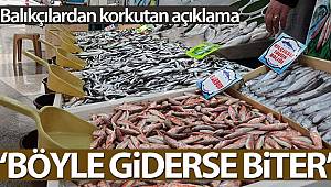 Balıkçılar açıkladı: 'Böyle giderse balıkçılık biter'