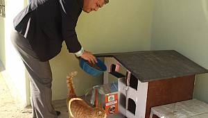 Belediyeden alkışlanacak davranış! Hayvanlar üşümesin diye yaptılar