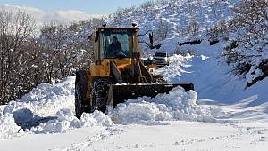 Bingöl'de 197 köy yolu kardan kapandı