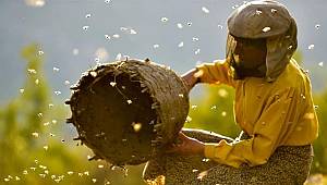 Bu hafta 6 film vizyonda!