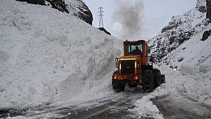 Hakkari-Çukurca karayoluna çığ düştü