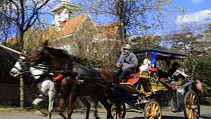 İBB Adalar'daki faytonları yasaklamıştı! Yeni gelişme