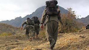 İçişleri Bakanlığı duyurdu: Bir terörist daha teslim oldu